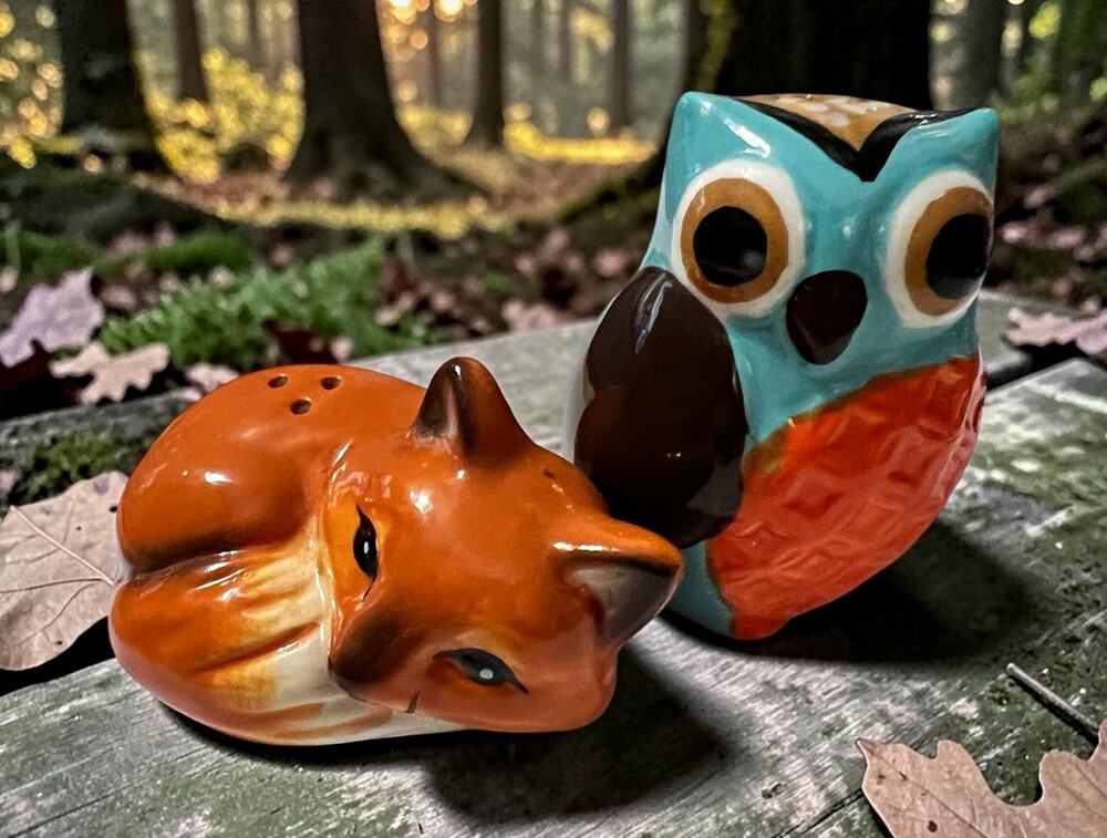 Ceramic Fall Thanksgiving Owl & Fox Salt & Pepper Shakers Set Cracker Barrel